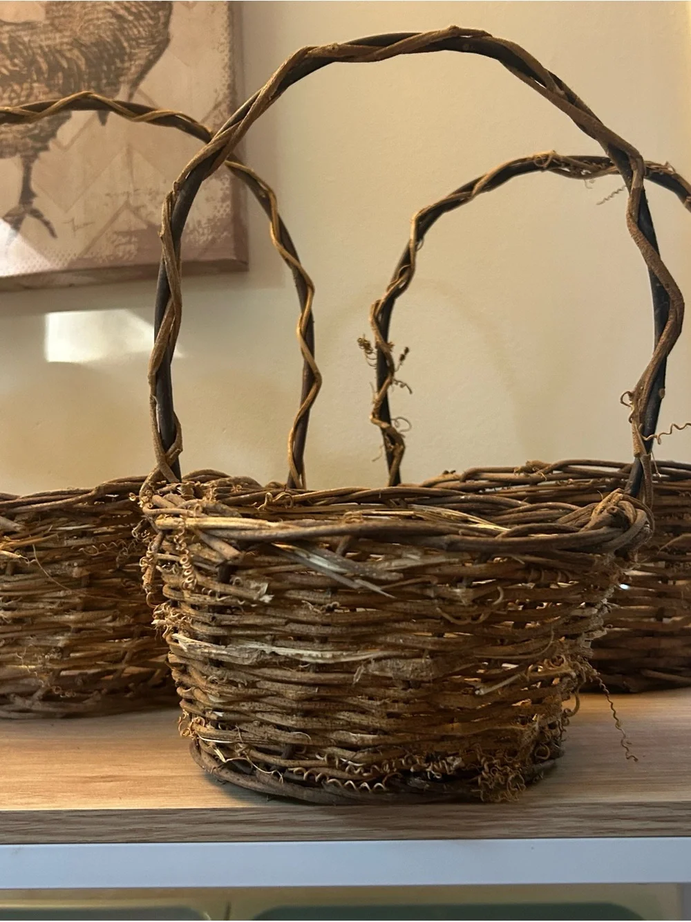 Rustic Wicker Vine Baskets with Handle - Brown - 3 included